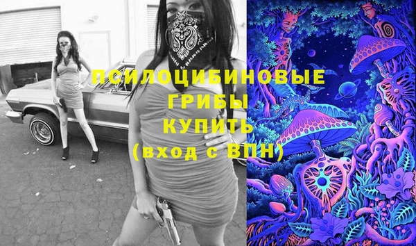 ешки Абаза