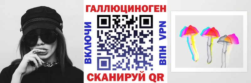Галлюциногенные грибы Psilocybe  Кинешма 